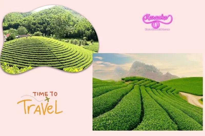 Bỏ Túi Ngay Các Địa Điểm Du Lịch Thái Nguyên Đẹp Nhất