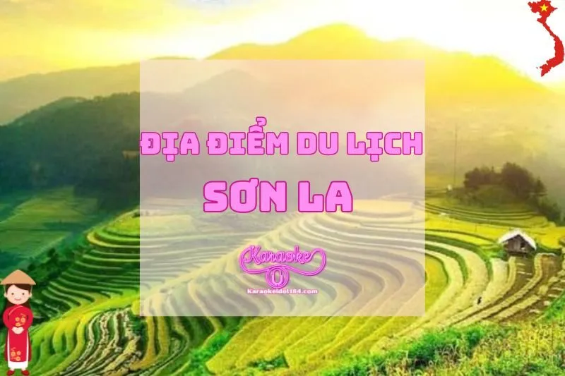 Địa Điểm Du Lịch Sơn La 2025: Những Điểm Đến Không Thể Bỏ Lỡ